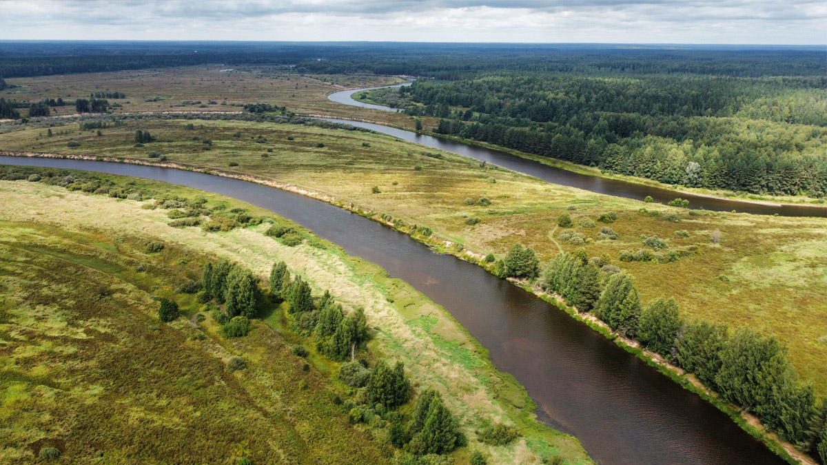 Сплав по реке Молога, с рыбалкой