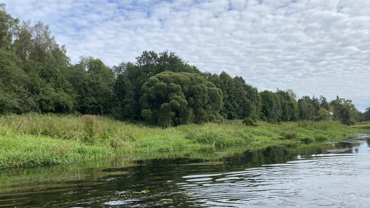 Сплав на байдарках по Москва-реке