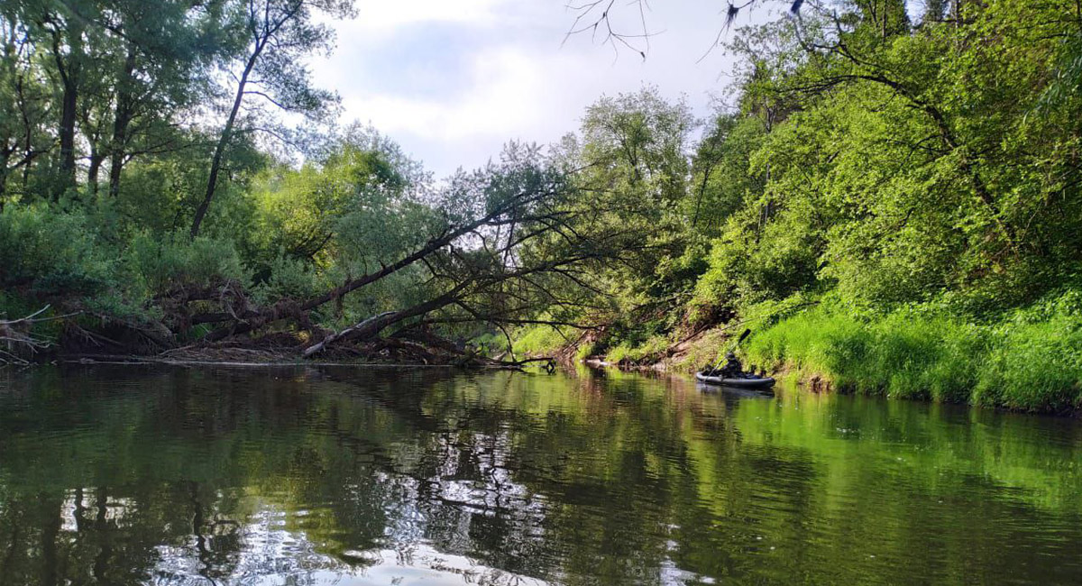 Сплав на байдарках по реке Воря Сплав на байдарках по реке Воря