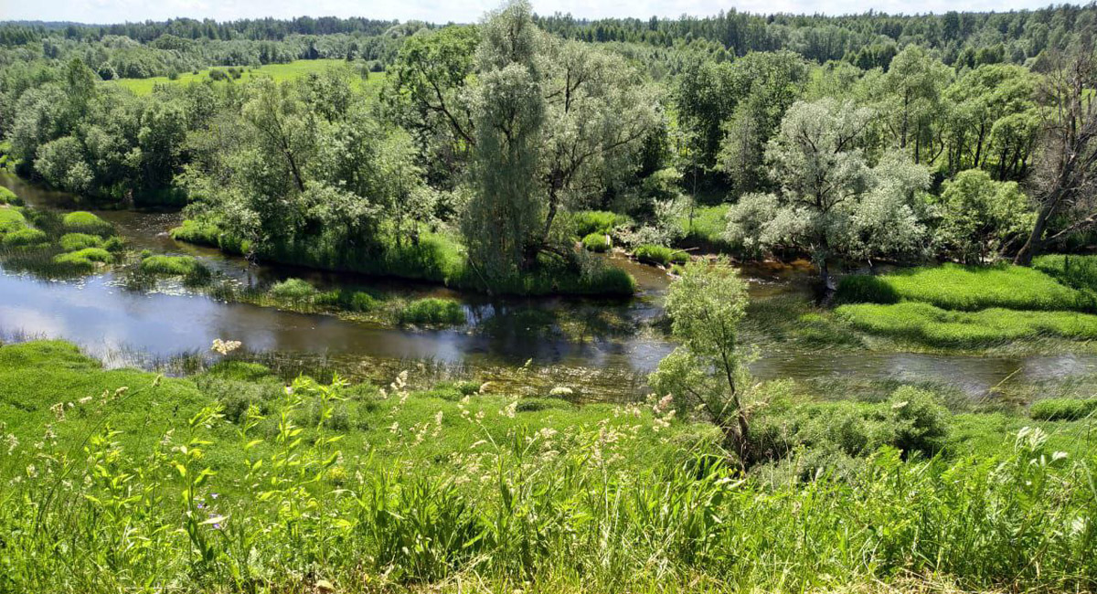 Сплав на байдарках по реке Воря Сплав на байдарках по реке Воря