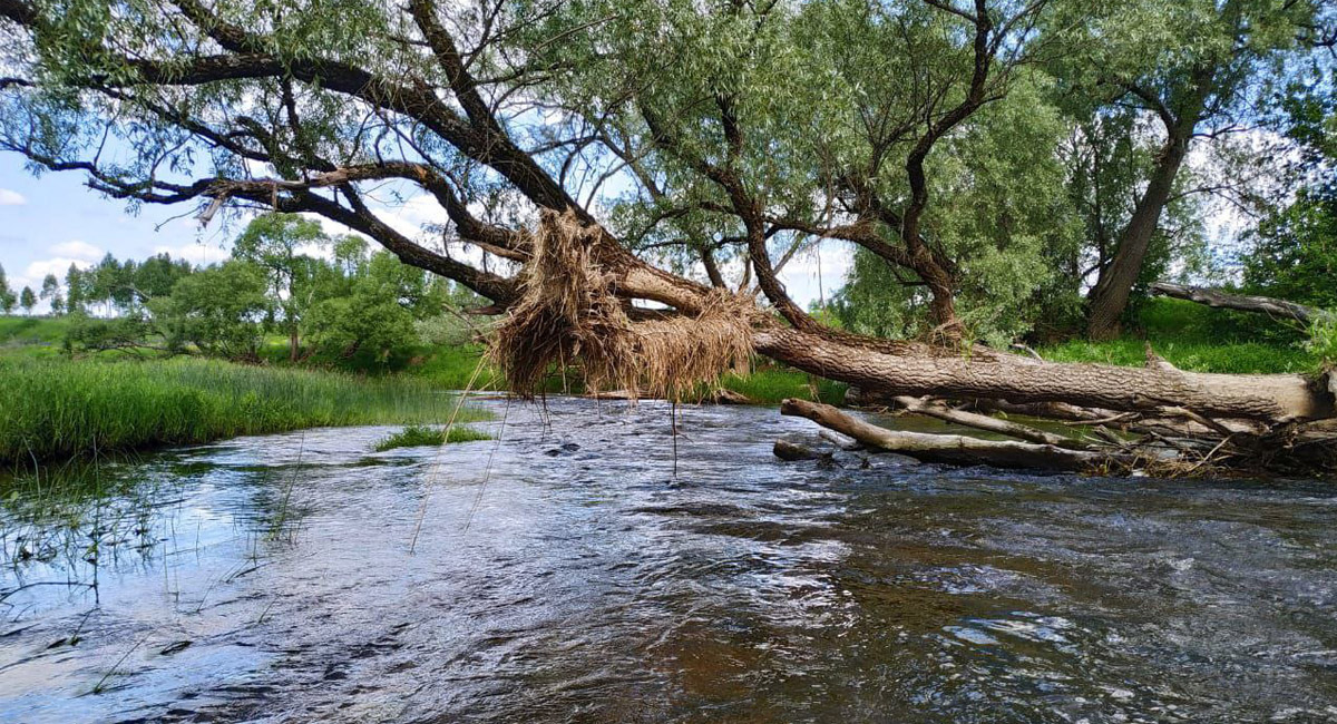 Сплав на байдарках по реке Воря Сплав на байдарках по реке Воря