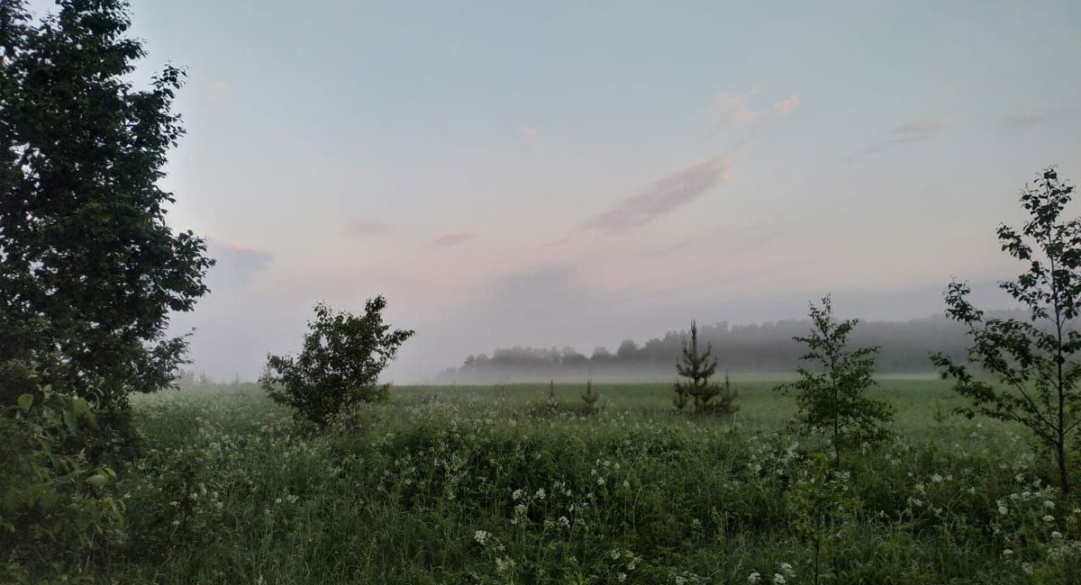 Сплав на байдарках по реке Воря Сплав на байдарках по реке Воря